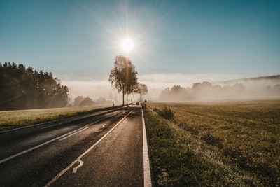 白天道路附近的绿色草地